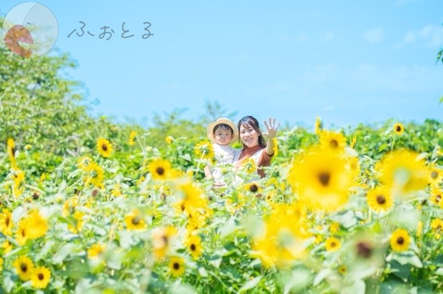 上野 あかつきのポートフォリオ5