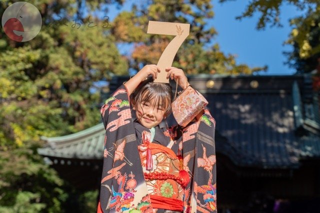 上野 あかつきのポートフォリオ6