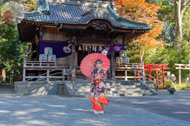 上野 あかつきのポートフォリオ8