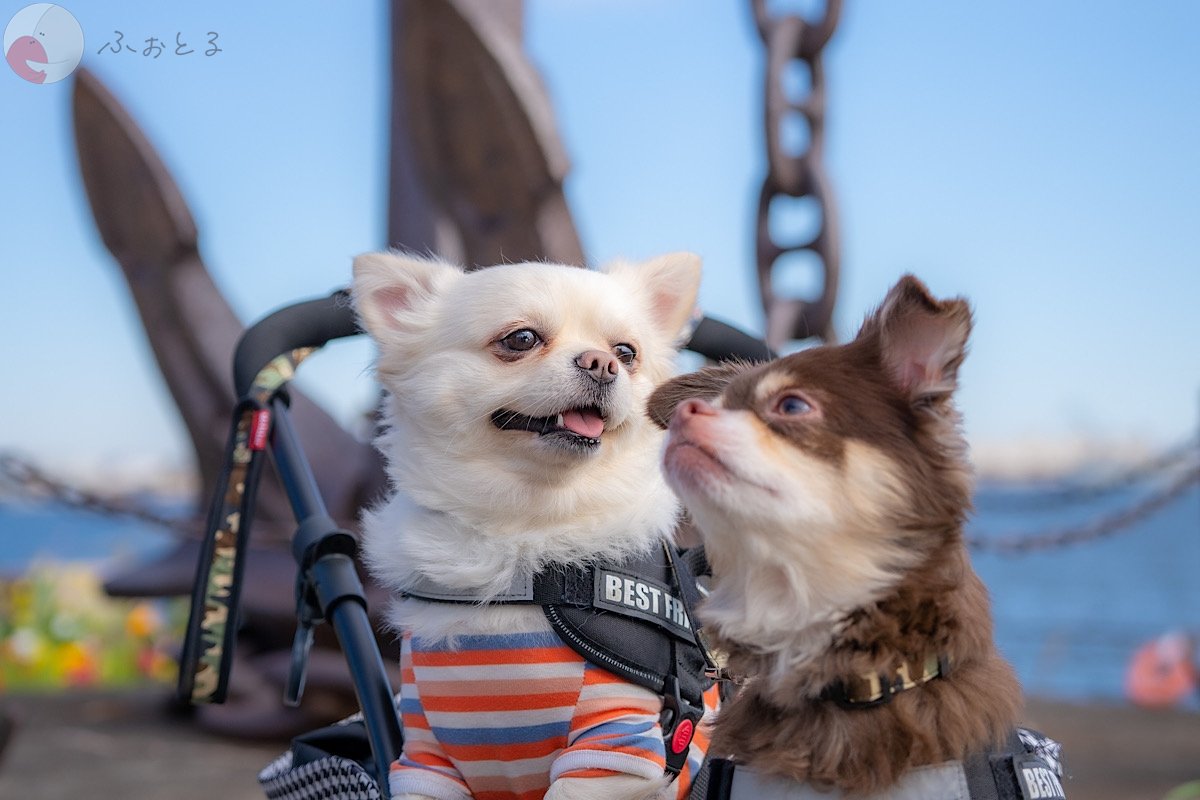 YUKIのポートフォリオ0