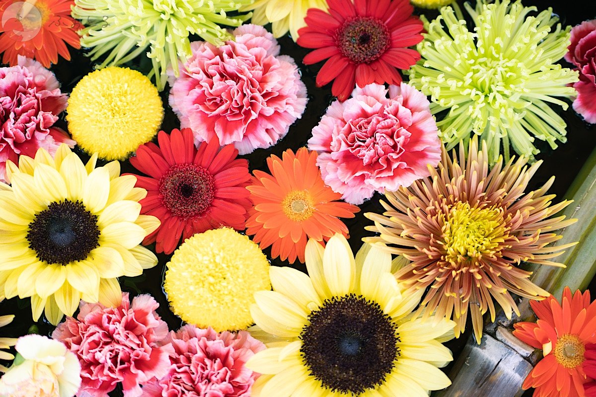 YUKIのポートフォリオ1