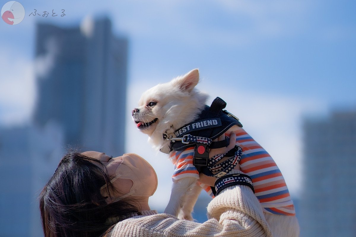 YUKIのポートフォリオ2