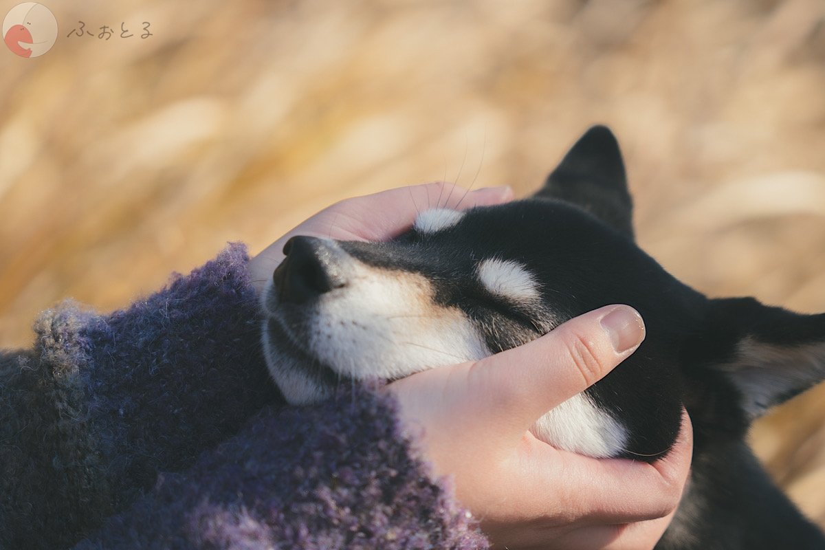 YUKIのポートフォリオ3