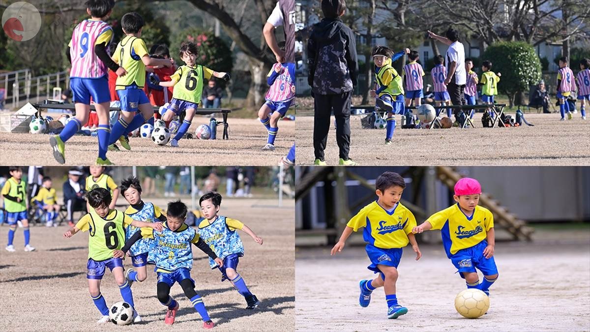 ひかるのポートフォリオ6