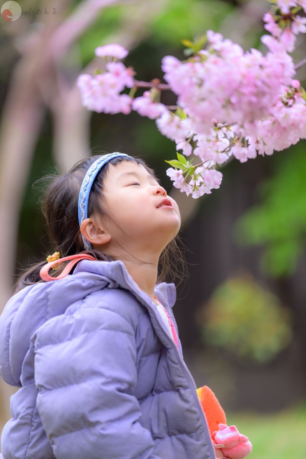 ひかるのポートフォリオ6