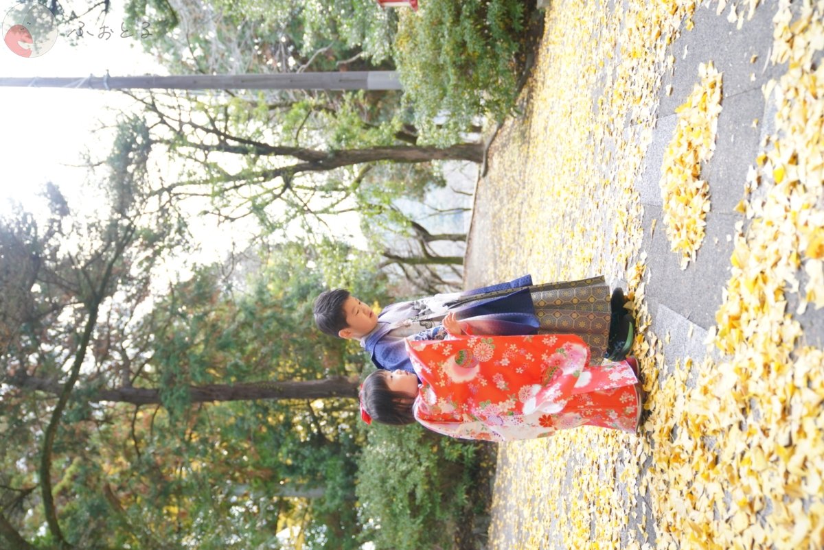 ERI　FUJIWARAのポートフォリオ5