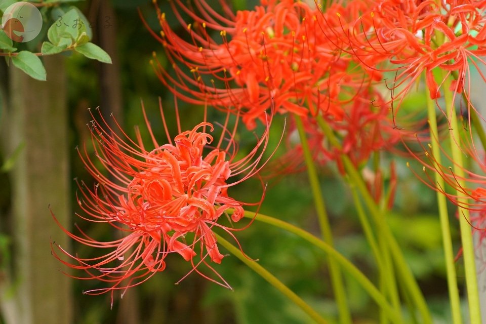 ケンフォトのポートフォリオ2