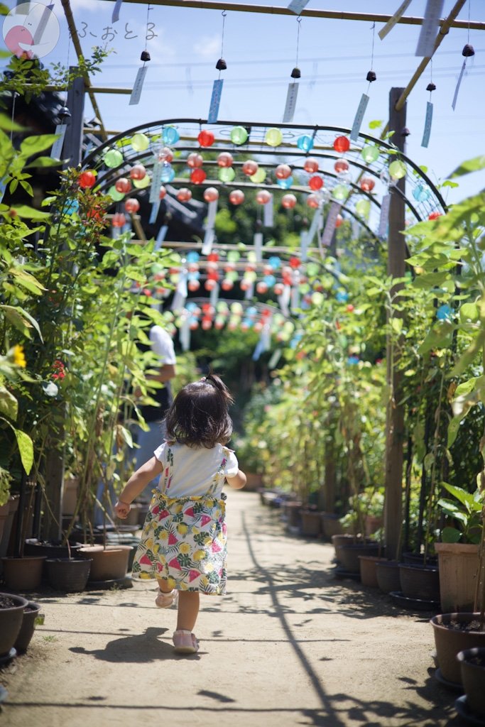 みなとのポートフォリオ1