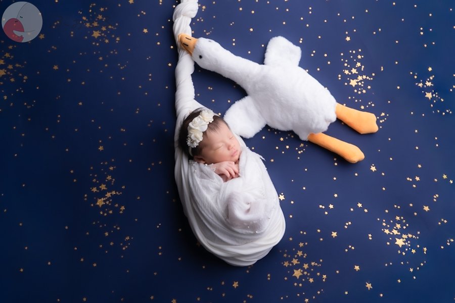 Yoshiのポートフォリオ0