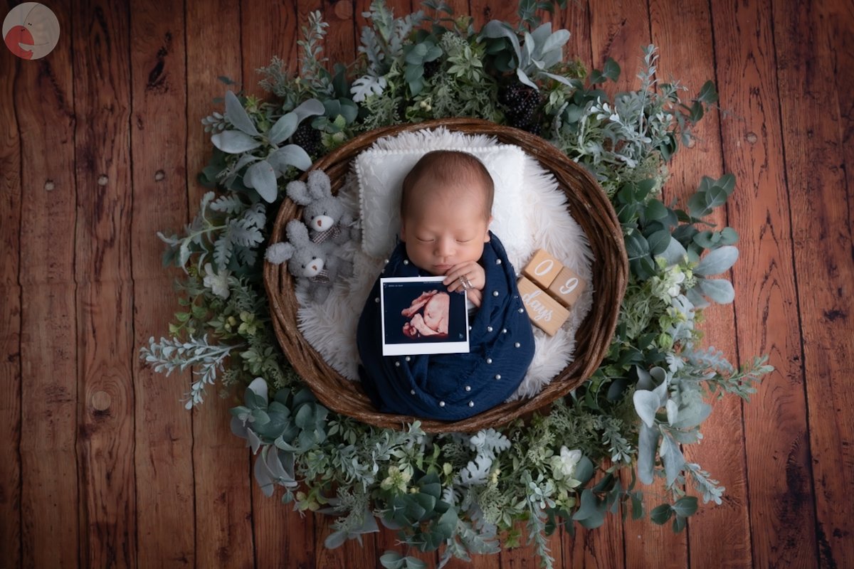 Yoshiのポートフォリオ2