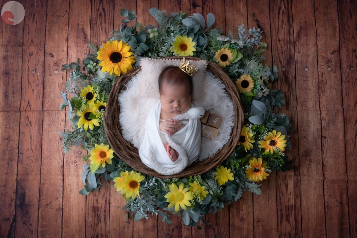 Yoshiさんのプロフィール・ポートフォリオ - 出張撮影/写真撮影