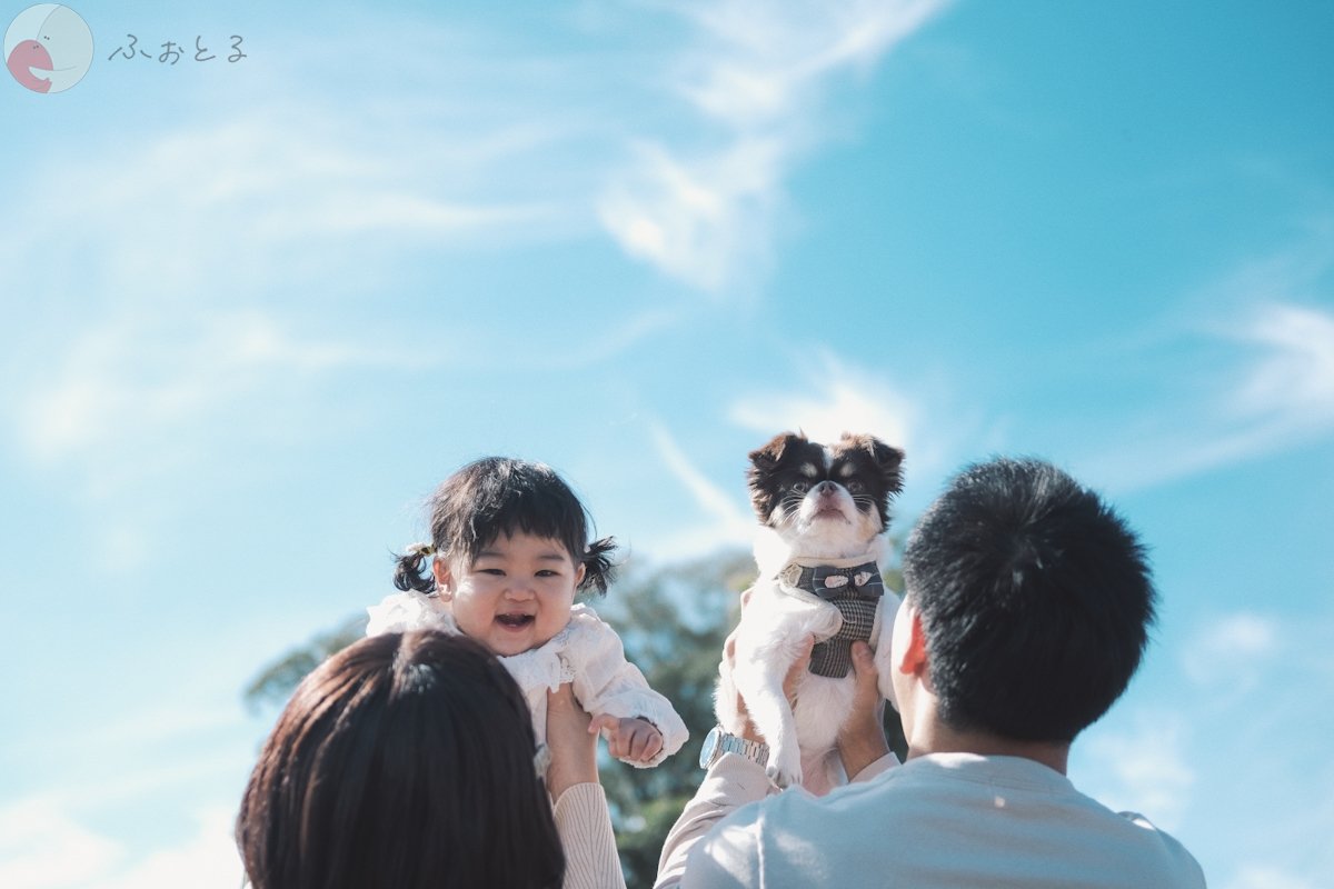 ＲＡＮのポートフォリオ3