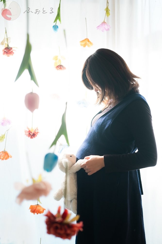 ＲＡＮのポートフォリオ8