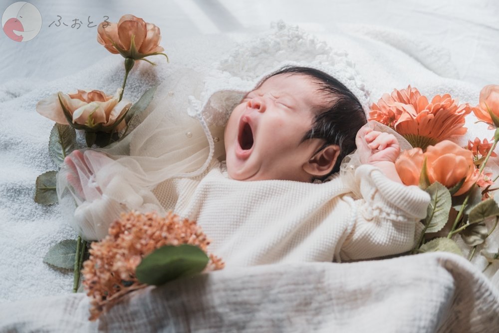 ＲＡＮのポートフォリオ2