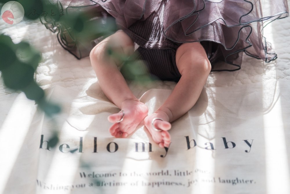 ＲＡＮのポートフォリオ3