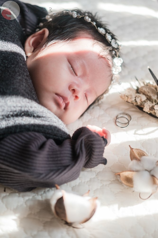 ＲＡＮのポートフォリオ4