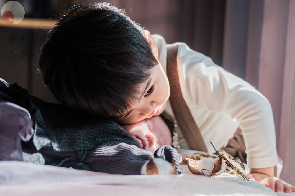 ＲＡＮのポートフォリオ5