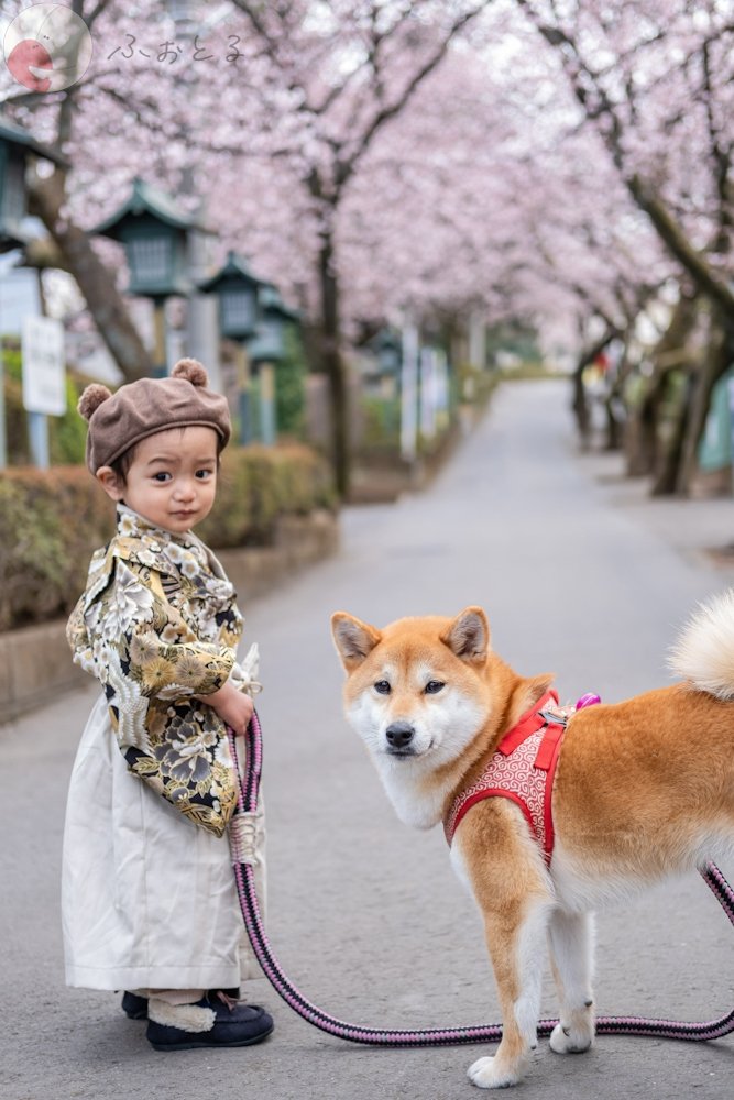 ＲＡＮのポートフォリオ7