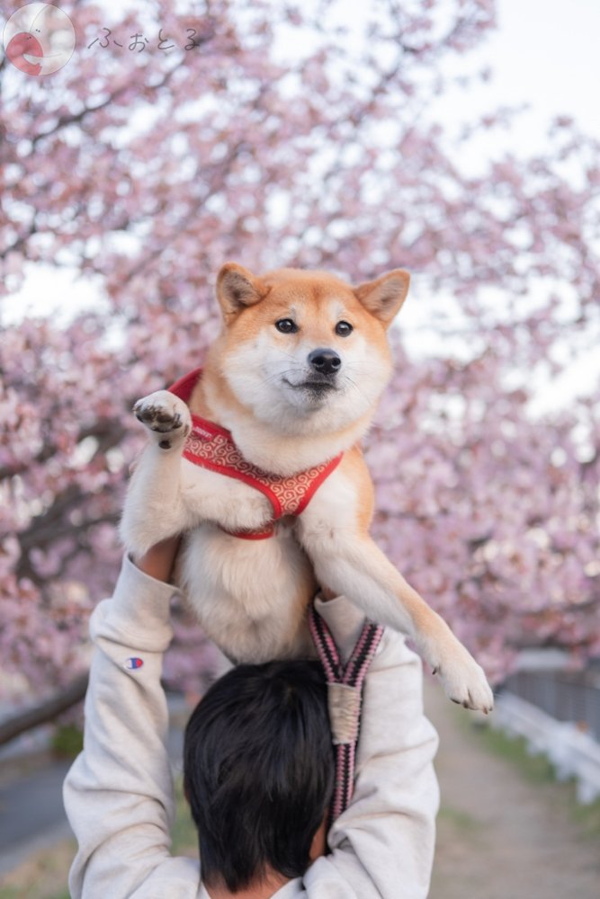 ＲＡＮのポートフォリオ8