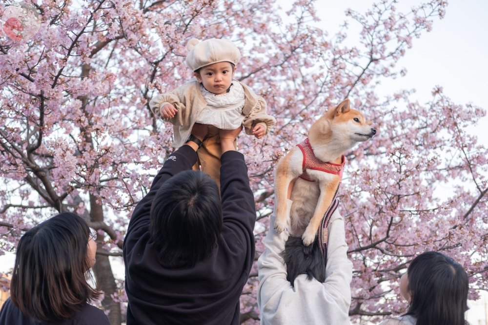 ＲＡＮのポートフォリオ9