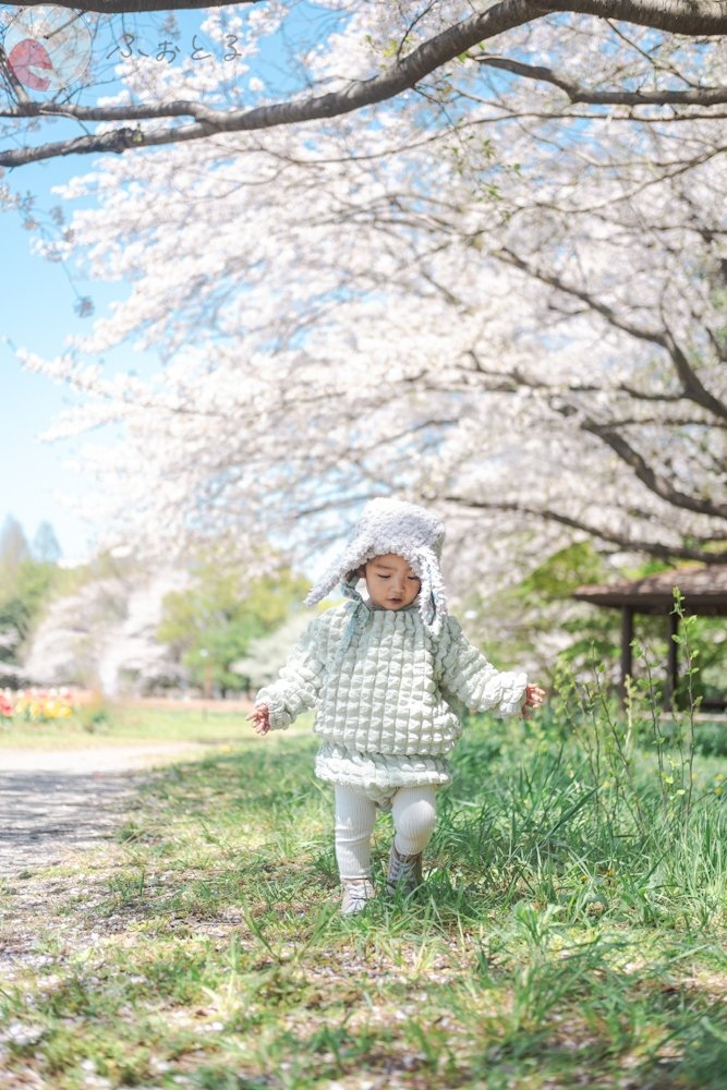 ＲＡＮのポートフォリオ0