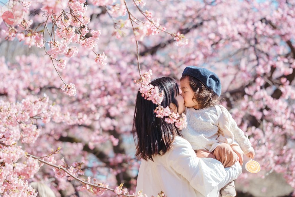 ＲＡＮのポートフォリオ1