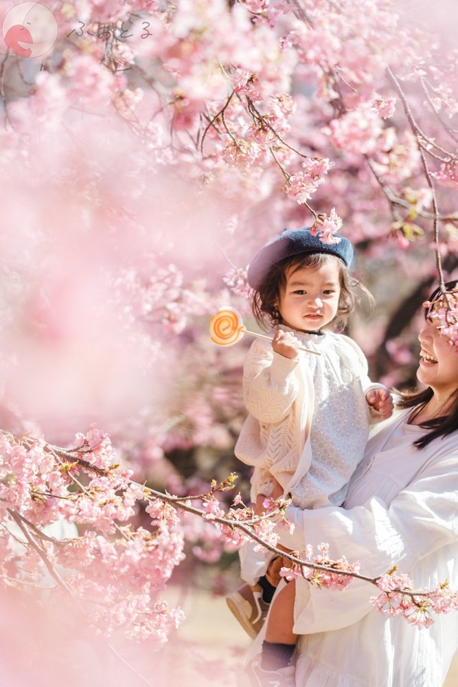 ＲＡＮのポートフォリオ2