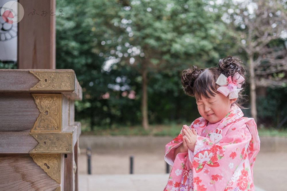 ＲＡＮのポートフォリオ3