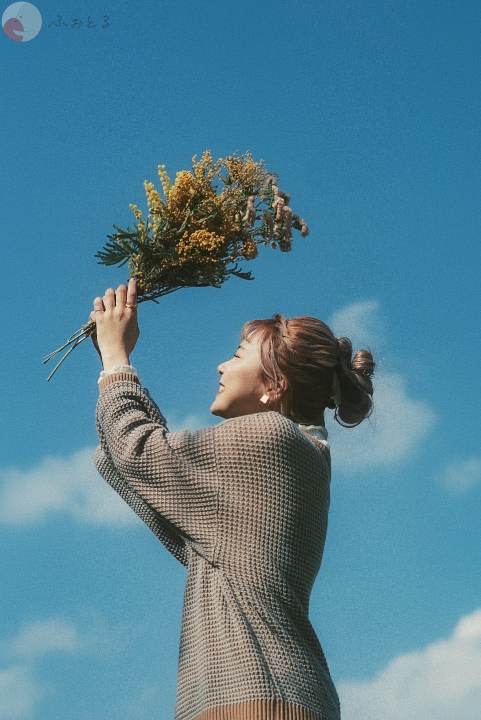 ＲＡＮのポートフォリオ8