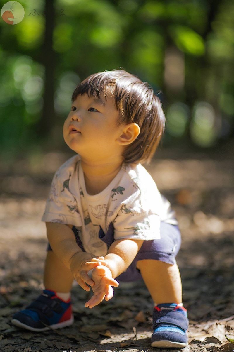 宍戸　瑞季のポートフォリオ1
