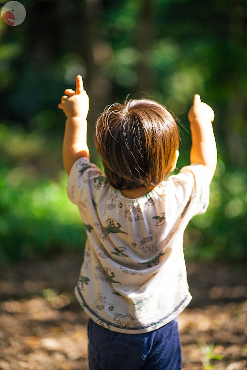 宍戸　瑞季のポートフォリオ2