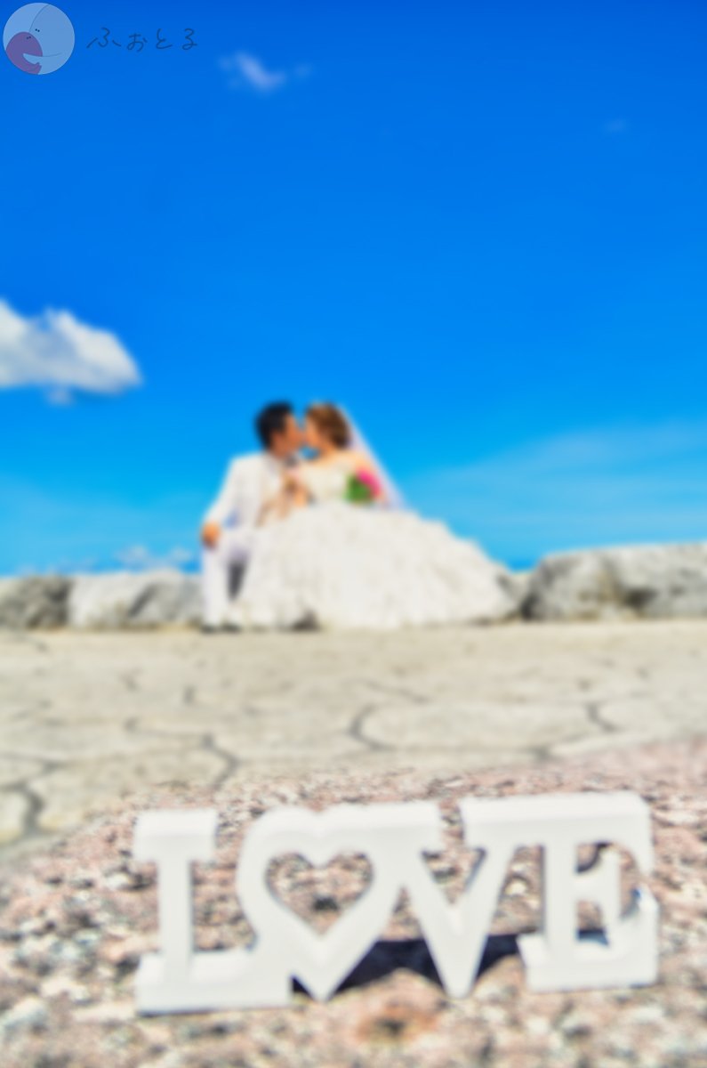 野田のポートフォリオ8