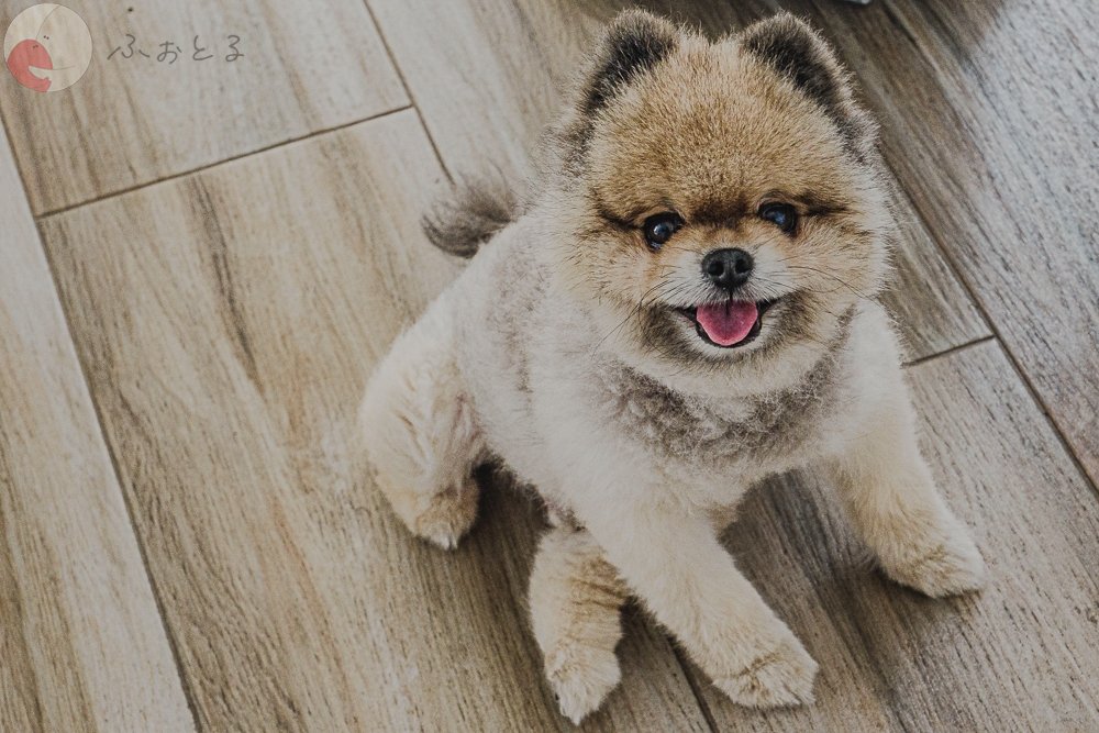 クリスのポートフォリオ4