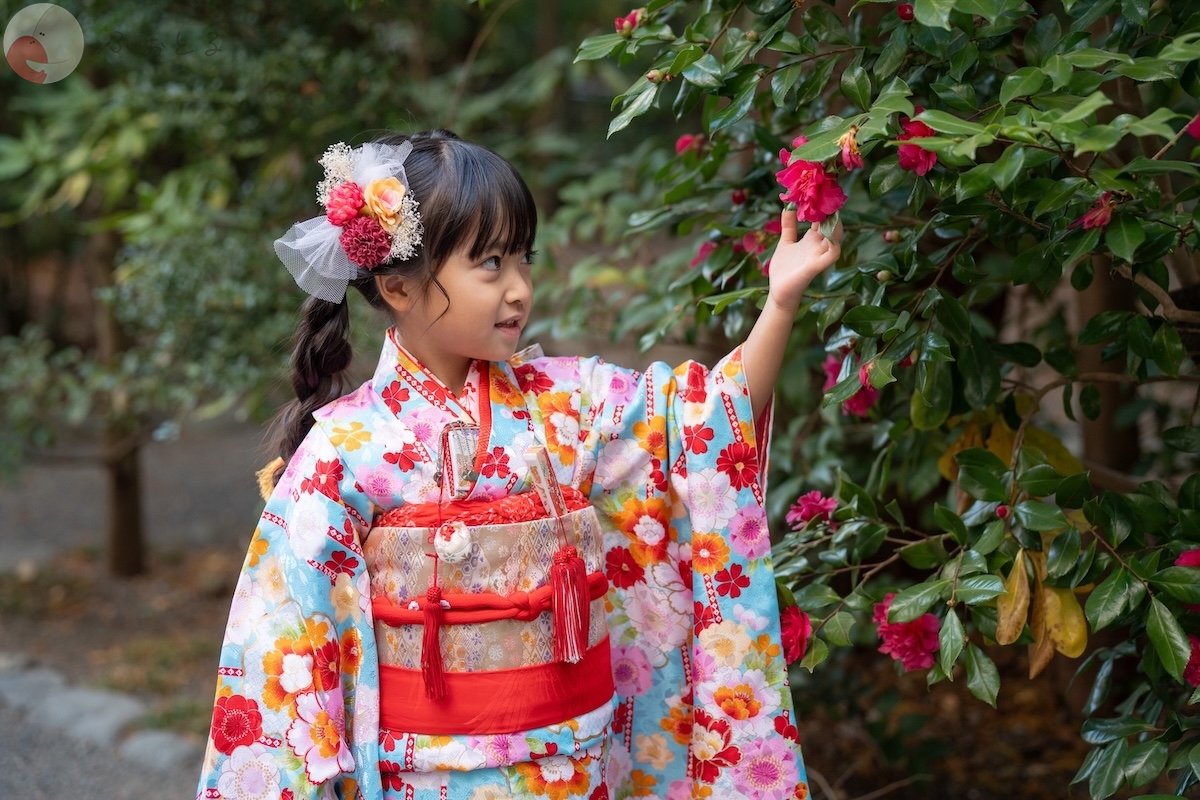 ちぇるしーのポートフォリオ1