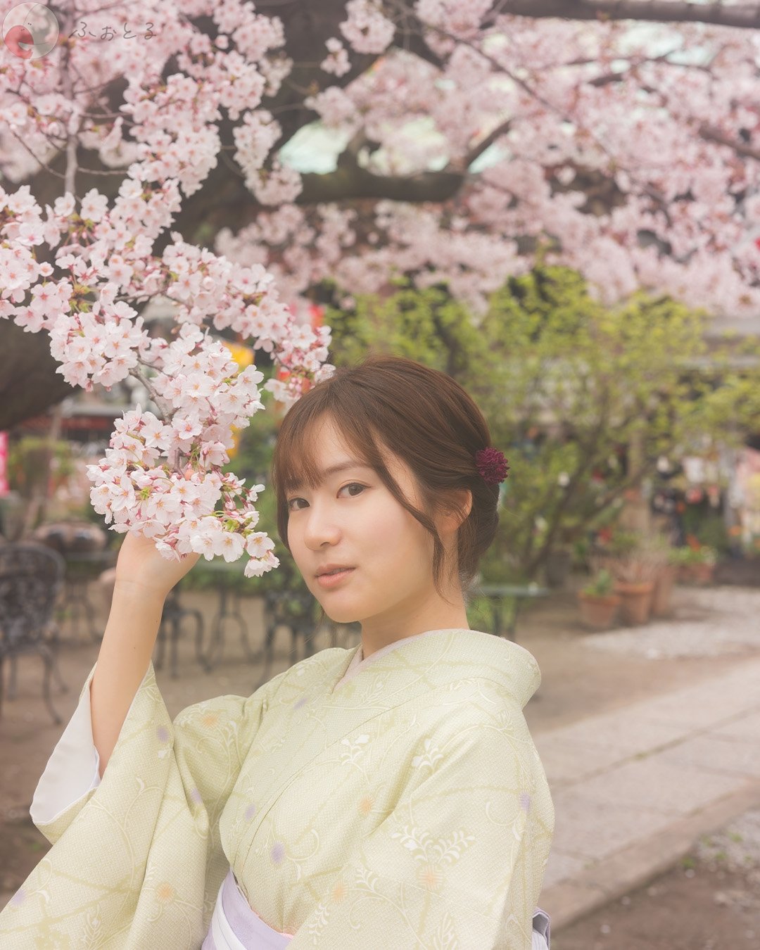 T.k.photoのポートフォリオ0