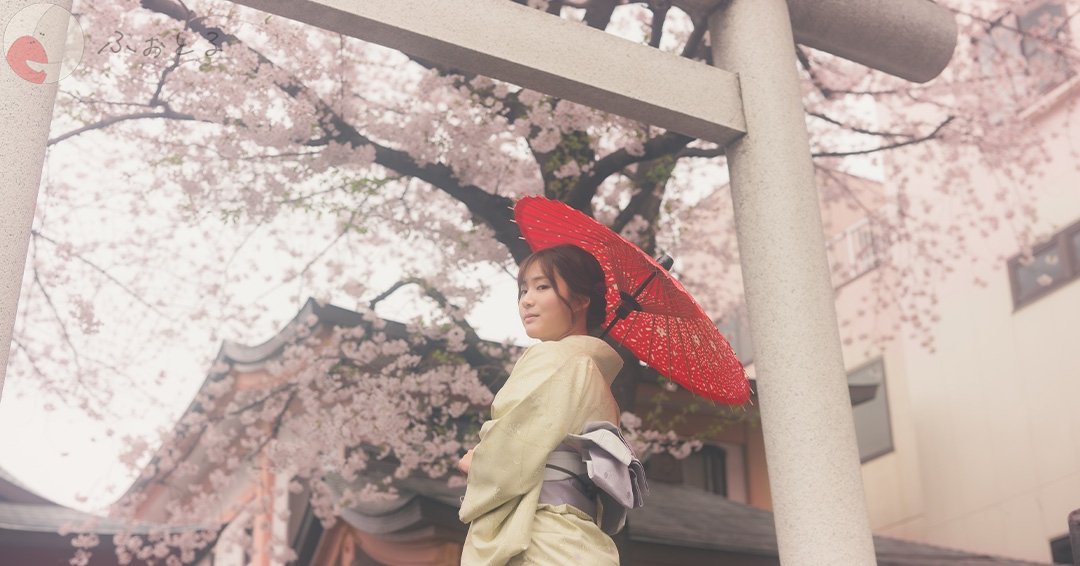 T.k.photoのポートフォリオ6