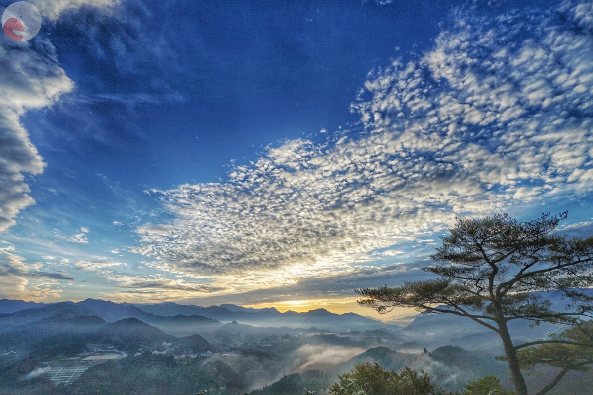 鶴原元気