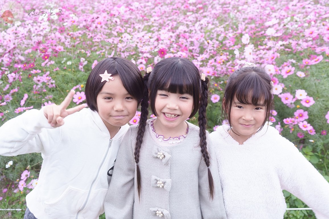 ヒデ・オカモトのポートフォリオ3