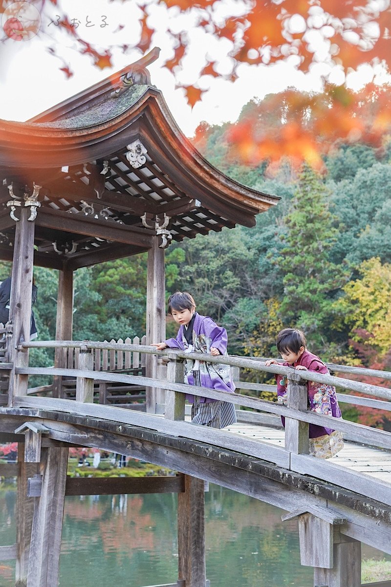 林 菜々子のポートフォリオ4