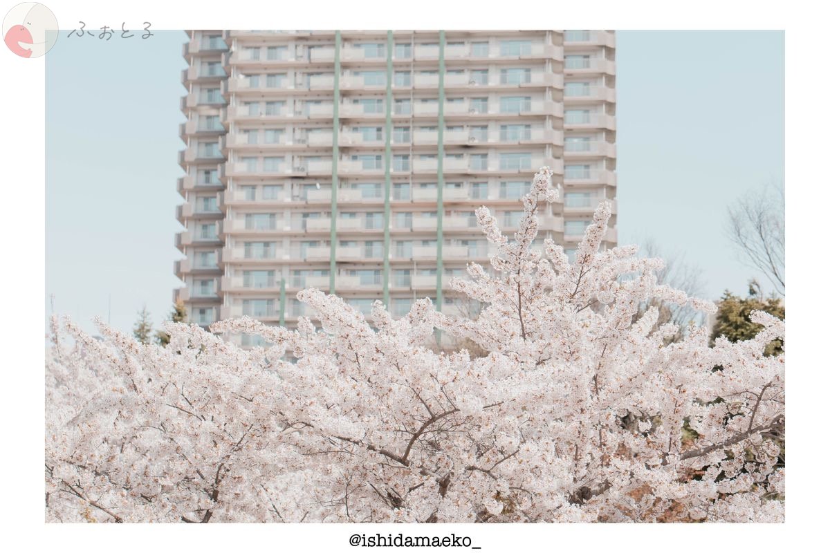 まこまこ｜暖かな写真のポートフォリオ2