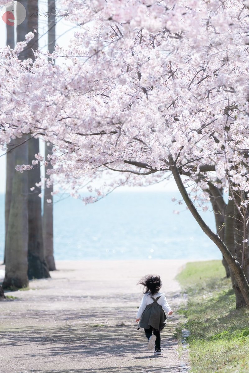 YUJIのポートフォリオ7