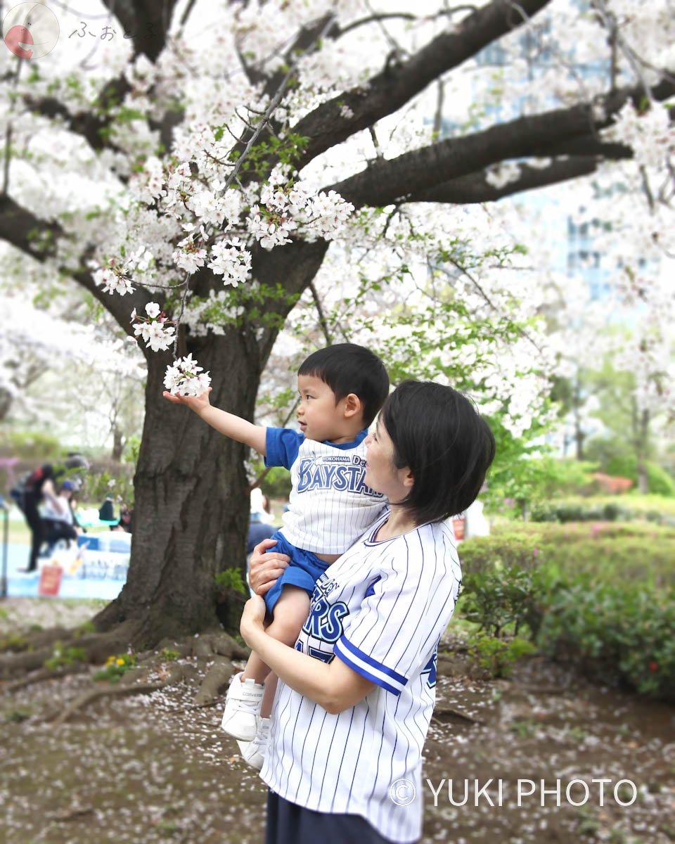 ゆきフォト・津田陽子のポートフォリオ0
