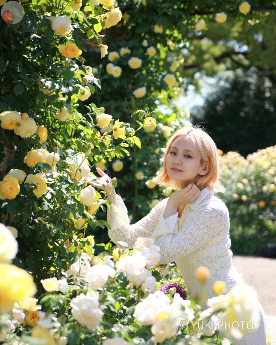 ゆきフォト・津田陽子のポートフォリオ2