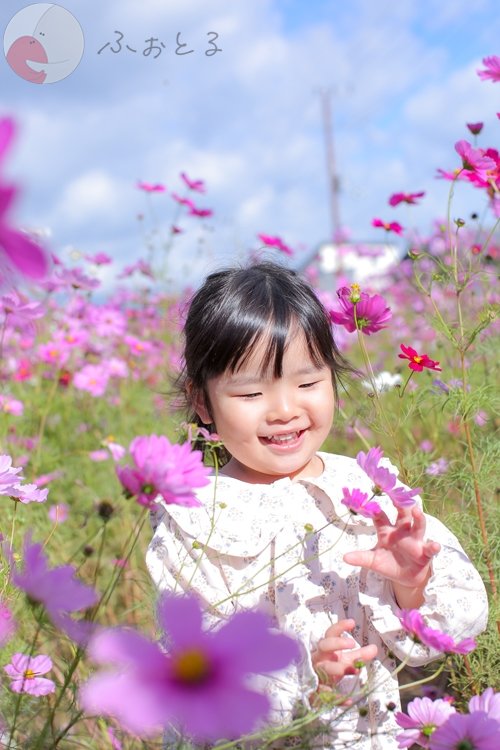 やまもとあゆみのポートフォリオ2