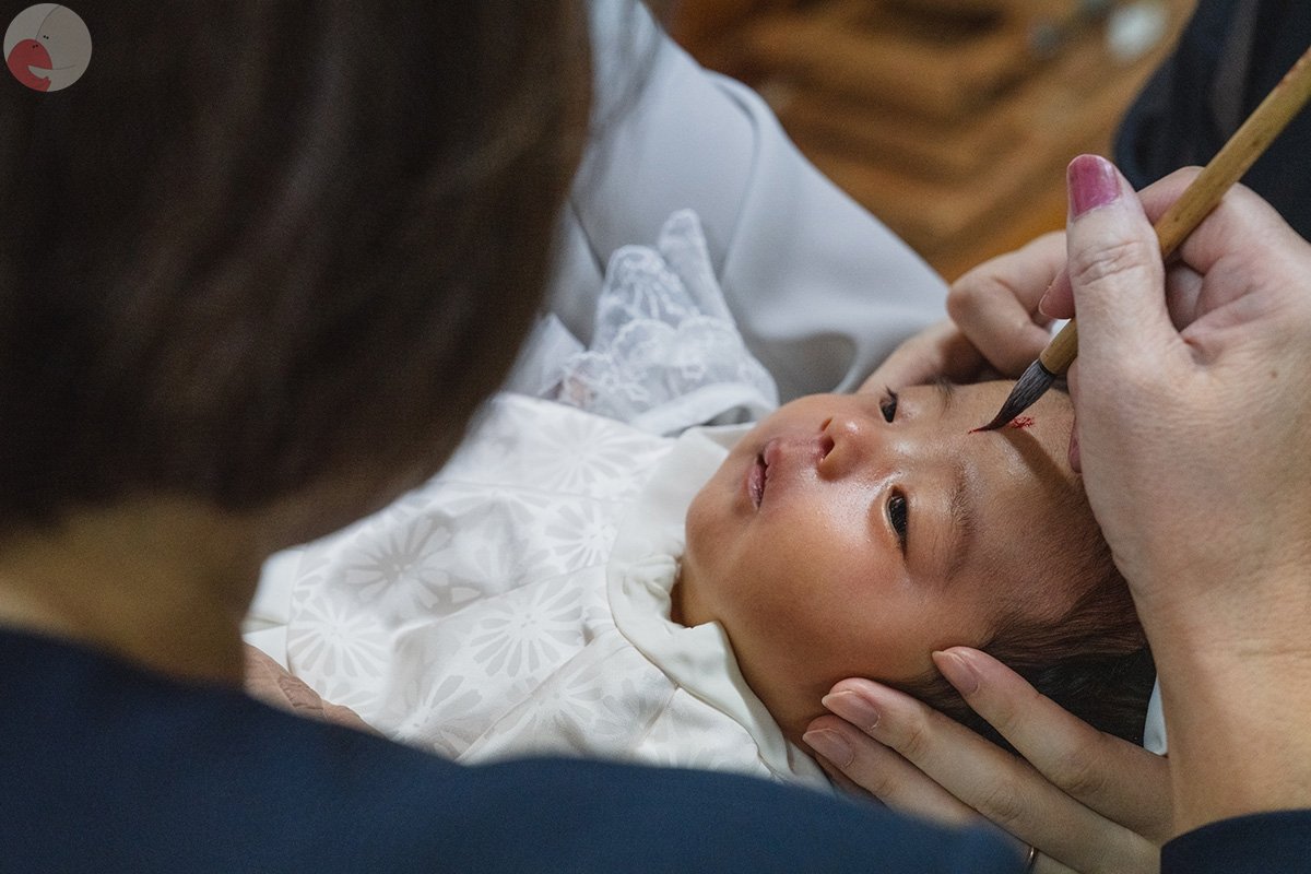 ヤマネタクマのポートフォリオ3