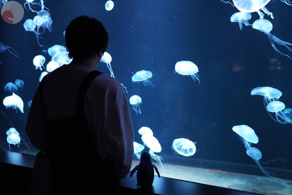 柴田 翔太のポートフォリオ0