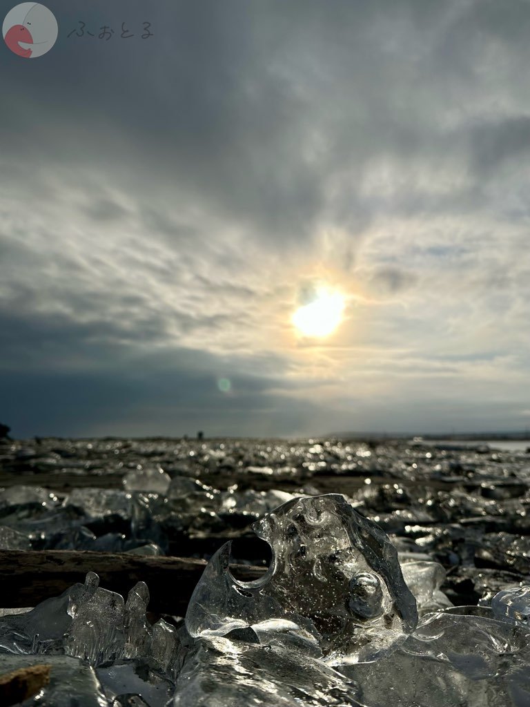 柴田 翔太のポートフォリオ1
