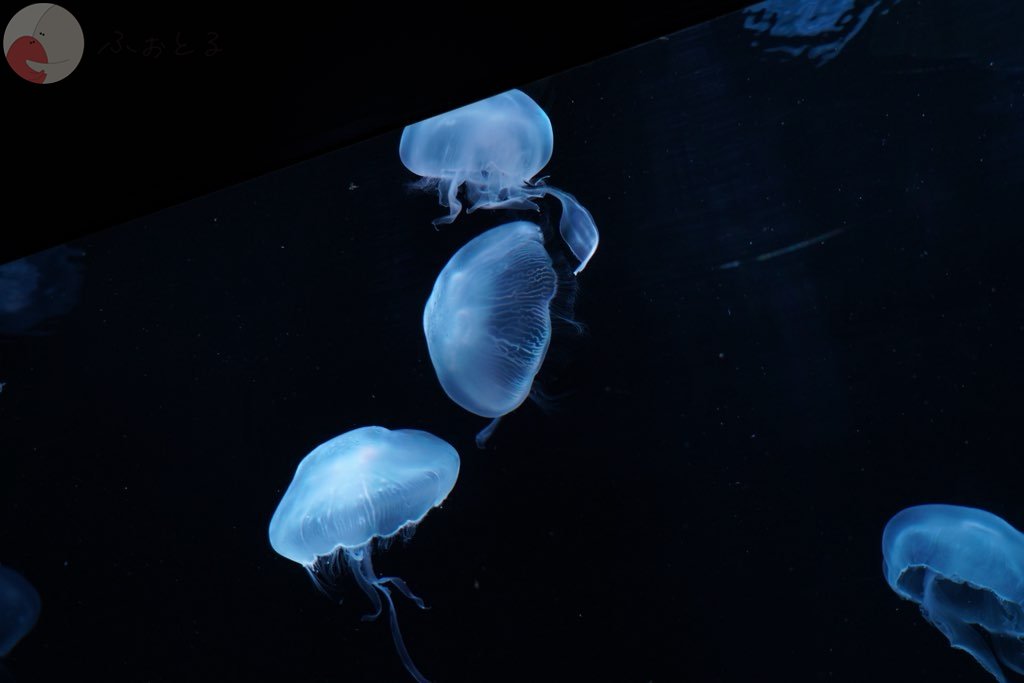 柴田 翔太のポートフォリオ4