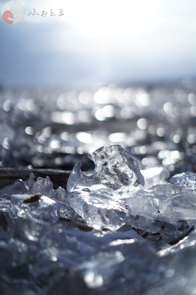 柴田 翔太のポートフォリオ7