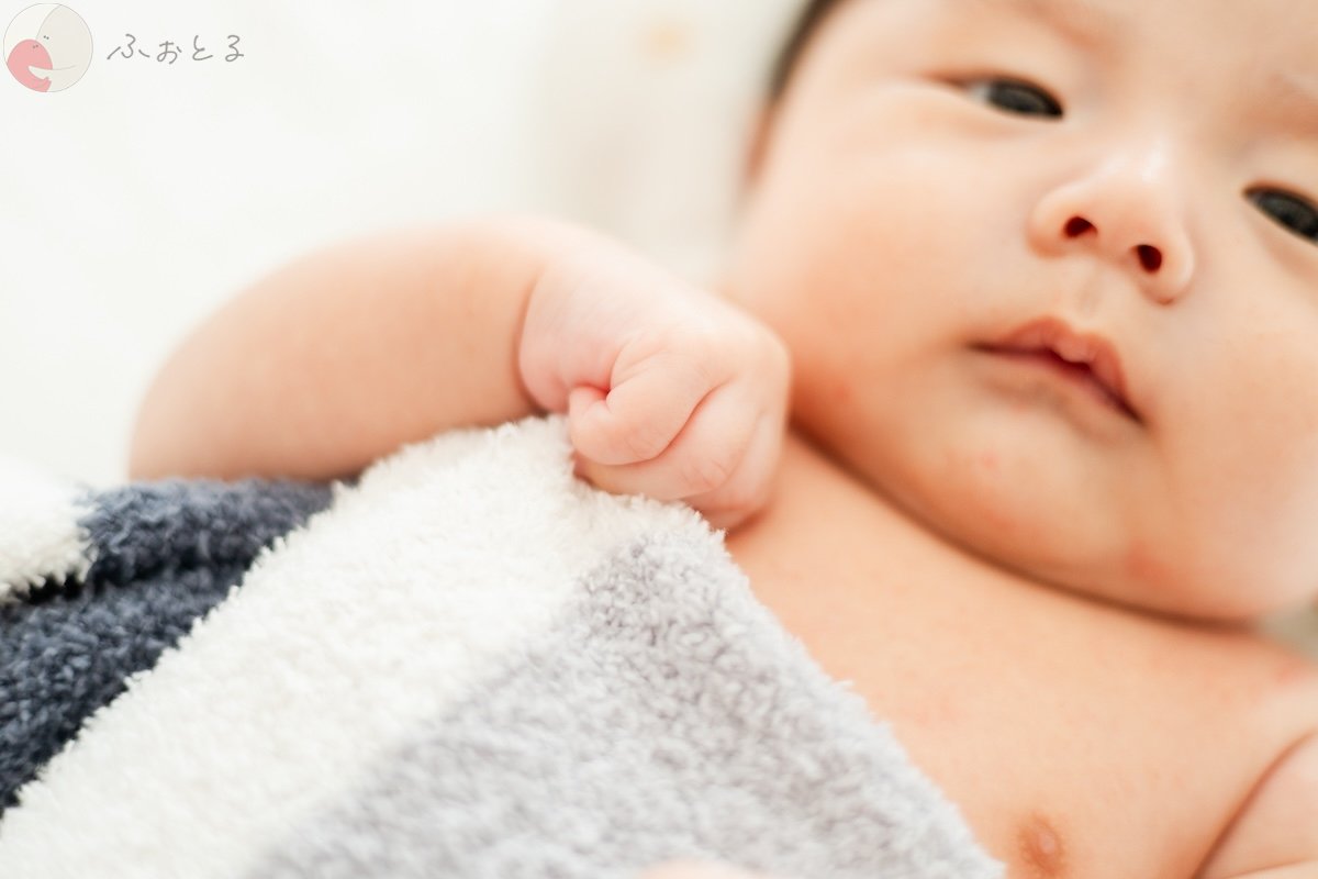 せいなのポートフォリオ1